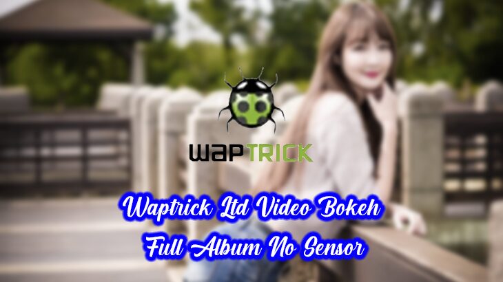 Waptrick Ltd Video Bokeh Full Album No Sensor