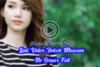Link Video Bokeh Museum No Sensor Full