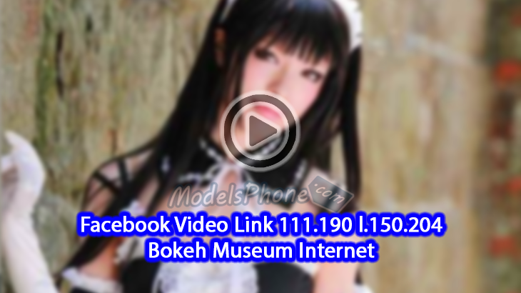 Facebook Video Link 111.190 l.150.204 Bokeh Museum Internet